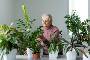 2 Columns Modern Page Gardenko