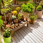 Blog Left Image Gardenko