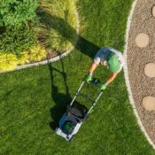 Blog Page Gardenko